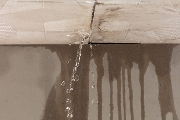 Professional Water Damage Restoration technician working in Lake Elmo, MN